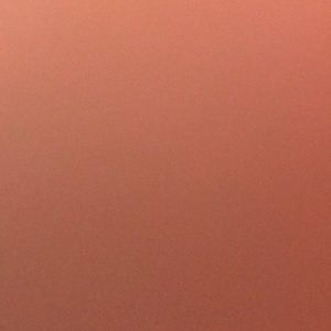 Meet your Posher, Bella